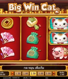 จะชนะเงินจริงที่ Big Win CAT Slot Thai Happyluke ได้อย่างไร